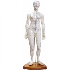 ACUPUNTURA 50 CM FEMININO TGD-0402